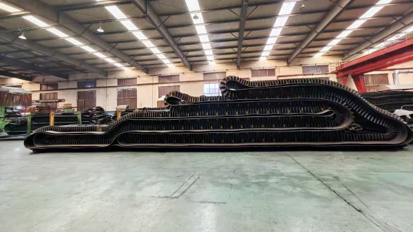 corrugated sidewall conveyor belt